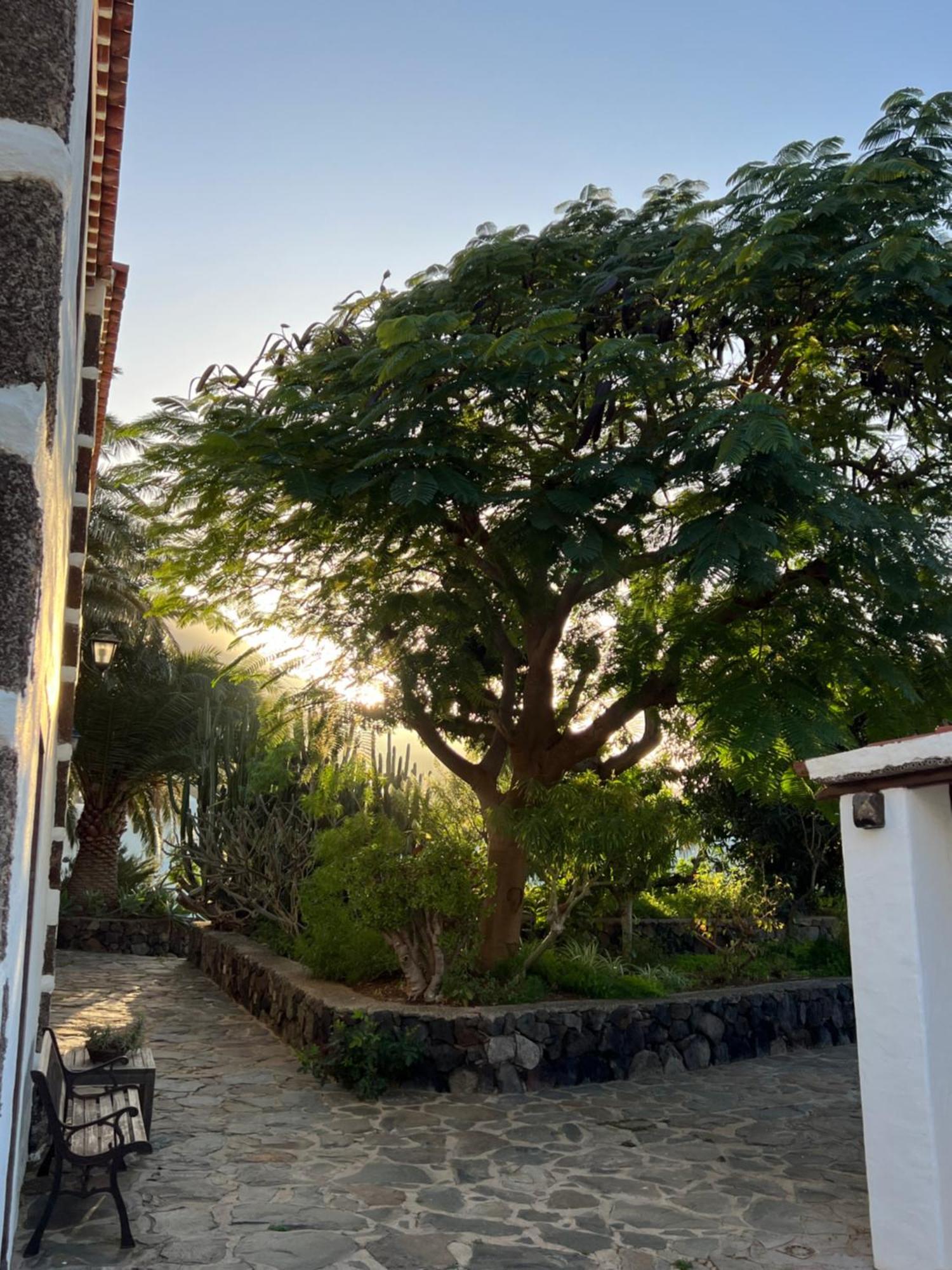 Finca Exclusiv La Mareta Agaete  Εξωτερικό φωτογραφία