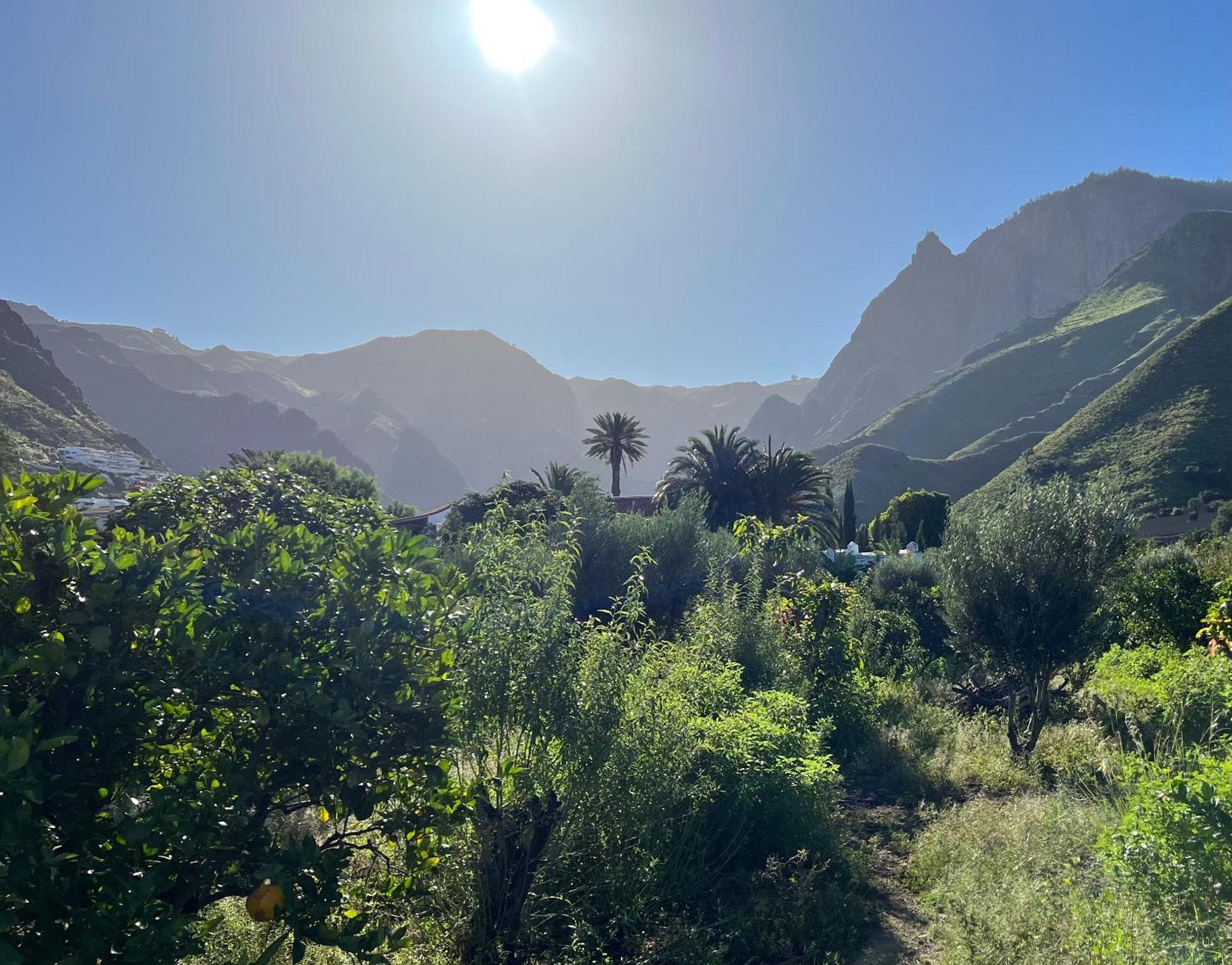 Finca Exclusiv La Mareta Agaete  Εξωτερικό φωτογραφία
